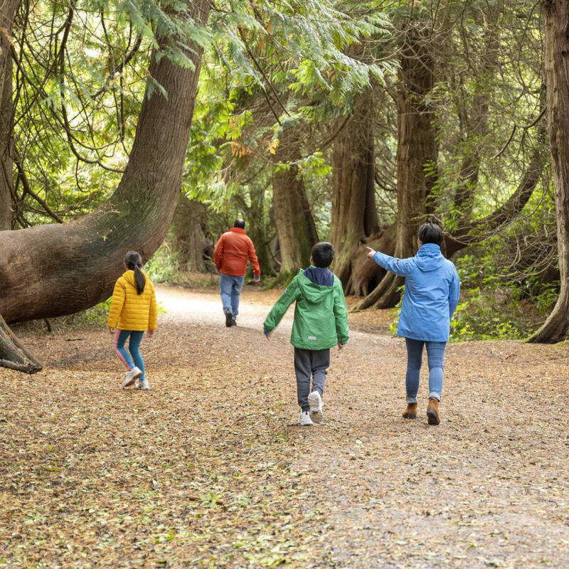 loughkeyforestandactivitypark