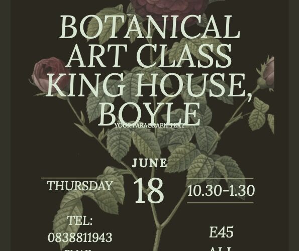 Botanicals art workshop King House Boyle Thurs June 18th
